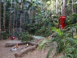 I'm a celebrity, get me out of here!: You Re Not A Celebrity But You Can Still Visit The I M A Celebrity Get Me Out Of Here Jungle Nottinghamshire Live