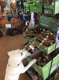 Perricone garden center & nursery. Horvat S Garden Center 40812 N Deep Lake Rd Antioch Il 60002 Sp Com