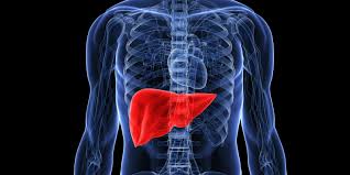 Liver specialist calls out 'detox industry for lying to you', explains liver  detoxes 24/7: 'Just expensive distractions' | Health