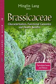 Image result for Brassicaceae
