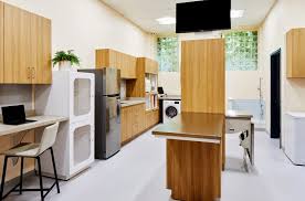 About the hospital & emergency department. Islyn Studio Creates Soothing Atmosphere In Brooklyn S Bond Vet Clinic