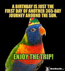 Another trip around the sun. Happy Birthday Bird Memes