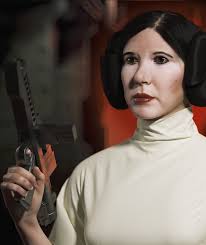 Got my beautiful artwork by Steve Anderson framed and hung in my 'Leia  corner' (+ Ahsoka). My dog's name is Leia, and her bed sits under the art.  It's also her 10th