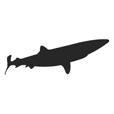 Shark Silhouette 1 Ad Affiliate Ad Silhouette Shark Shark Silhouette Silhouette Shark