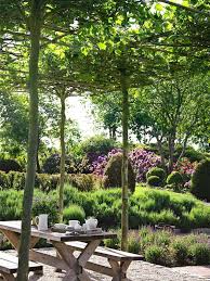 Gartentipps Fur Gesunde Pflanzen Und Blumen Gartentipps Pflanzen Garten