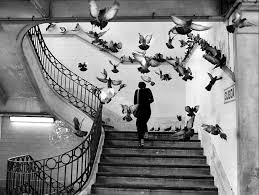 Rui Palha Henri Cartier Bresson Most Famous Photographers Bresson