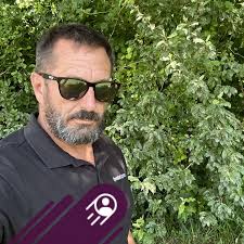 What cams and springs are suitable for a 390 Ford FE engine with medium  case cruise o matic and 3.7 gears?