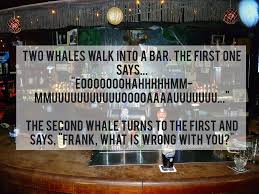 Funny stupid jokes are perfect for long trips in the car, for kids, and most importantly, to annoy your friends and family. Stupid Jokes Guaranteed To Make You Grin If You Dont Grin Ill Give You My Left Arm Album On Imgur