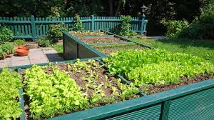 Im märz stehen im nutzgarten bereits viele gartenarbeiten an, denn die natur ist endlich aus dem winterschlaf erwacht. Welches Gemuse Kann Ich Im Marz Pflanzen Bei Freize