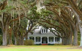 The plantation system developed in the american south as the british colonists arrived in virginia and divided the land into large areas suitable for farming. Stop Getting Married On Plantations The Nation