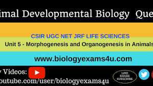 Check spelling or type a new query. Csir Life Sciences Animal Developmental Biology Questions Unit 5 Developmental Biology