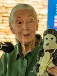 janegoodall #earth #sciences #environment #activist #compassion #justice  #chimpanzees #ricardokaram #topvoice