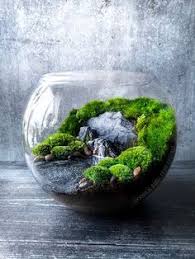 Moss Terrarium With Waterfall In 2020 Terrarium Scene Mini Garden Moss Terrarium