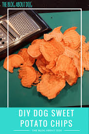 Diy Dog Sweet Potato Chips Sweet Potato Chips Diy Dog Stuff Dog Treats Homemade Easy