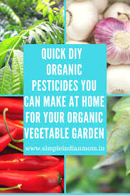 Every gardener knows how boring pests can be. Quick Diy Organic Pesticides You Can Make At Home For Your Organic Vegetable Garden Simple Indian Mom