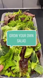 Image result for Lettuce Green 1983 Hussmann