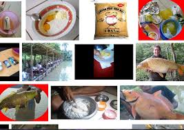 Resep Umpan Mancing Ikan Mas Sederhana Sekarang Ini