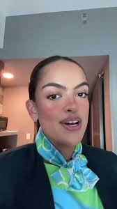Erin Bornstein Flight Attendant