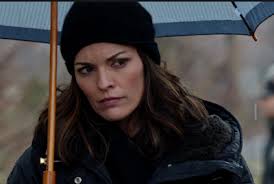 Last Seen Alive (Ellery Hathaway, #5) by Joanna Schaffhausen