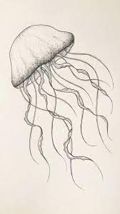 Jellyfish Drawing Sea Life Illustration Nursery Wall Etsy Video Video Jellyfish Drawing Art Drawings Simple Drawings