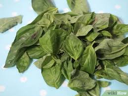 Yang khas dari daun kemangi ini adalah aromanya yang segar. 3 Cara Untuk Membekukan Kemangi Wikihow