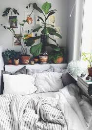 Urban Outfitters Bedroom Indoor Plant Succulent Ideas For The Bedroom Boho Bedroom Dorm Room Ideas Urban Outfitters Bedroom Room Inspiration Home