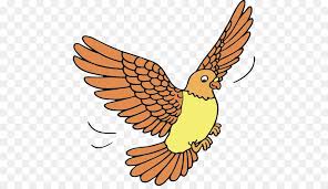 Burung pipit adalah burung yang banyak di temukan di indonesia, burung pipit hidup dengan memakan biji. Burung Kartun Gambar Gambar Png