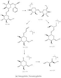 A convenient, harmless, form of amygdalin derivative is available that has the same biological and chemical activity and could be used in conservative clinical oncology. Molecules Free Full Text Identification And Analysis Of Amygdalin Neoamygdalin And Amygdalin Amide In Different Processed Bitter Almonds By Hplc Esi Ms Ms And Hplc Dad Html