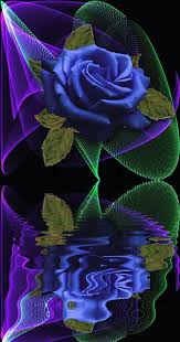 dreamies de hewm2xoet8f gif beautiful roses love flowers blue roses