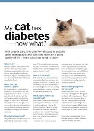 My Cat Has Diabetes Now What Dvm360 Cat Health Pet