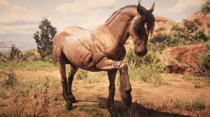 Hungarian Half-Bred (Rdr 2) | Red Dead Wiki | Fandom