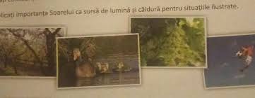 Principala sursă de lumină pe pământ este soarele. Explicati Importanta Soarelui Ca SursÄ De LuminÄ Si CÄldurÄ Pentru Situatiile Ilustrate Rapidd Varogg Brainly Ro