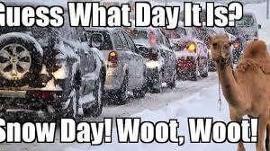 So we have decided it is time it made it into the standard memes for the site. Put Your Faith In The Snow Camel Home Facebook