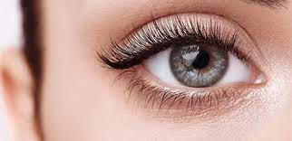 Paus yohanes paulus ii berpendapat bahwa bunda teresa adalah wanita terkudus yang pernah ditemuinya. Ini Dia 5 Eyelash Extension Untuk Mata Belo Klubwanita Com