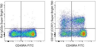 It is activated by two different ligands, ccl19 and ccl21, and is responsible for the proper recruitment of. Cd197 Ccr7 Antibody Super Bright 780 78 1979 42