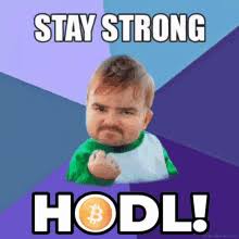 Decorate your laptops, water bottles, helmets, and cars. Hodl Gifs Tenor