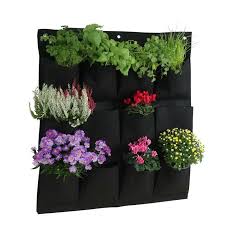 Snake plant atau lidah mertua. Pot Gantung Bunga Hias Tanaman Dekorasi Dinding Vertical Garden 9 Slot Hy001 Black Jakartanotebook Com