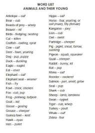 Index Referencetool Termanology Used To Refer To An Animal S Young Learn English English Words Writing Skills