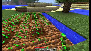 To lay out your garden, follow these steps: Minecraft How To Make A Garden Youtube