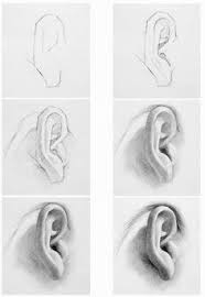 الاســـم ear drawing رسم الأذن orfiles com 6 jpg المشاهدات 209 الحجـــم 82 6 كيلوبايت skizzen zeichnen zeichnungen von menschen gesicht zeichnen lernen