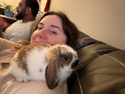 Why is my rabbit refusing to eat hay?