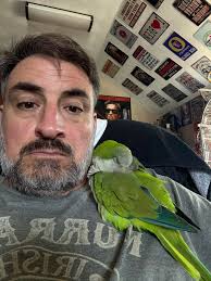 Appreciation for average life in Florida