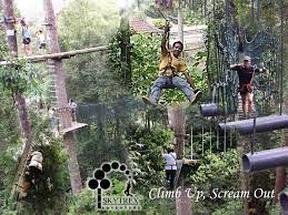 Shaa, kyrel (me), aunty diana, wani, bob, syidah and afiq. Skytrex Adventure Now In Shah Alam And Langkawi