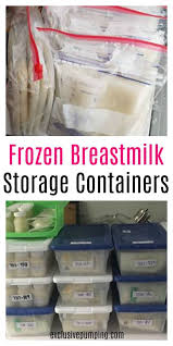 Echo Hendrickson (EchoInTheWild)