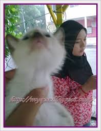 Harimau adalah binatang penyendiri yang sangat menyadari batas wilayahnya. Contoh Teka Teki Ada Ekor Bukan Binatang Ada Kepala Bukan Manusia Yang Meletup Untuk Guru Guru Cikgu Ayu