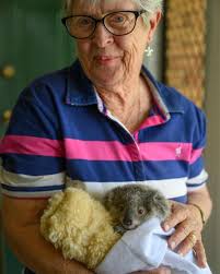 Helping our Koala Population