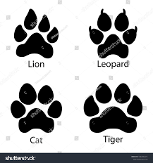 Different Footprints Of Big Cats Leopard Lion Tiger Paws Set Illustration Ad Sponsored Cats Leopard Footprints Big Tiger Paw Paw Cats Illustration
