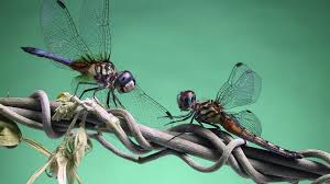 Image result for digital art desktop wallpaper