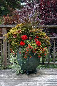 Stunning Ideas For A Large Garden Pot Uk Exclusive On Kennys Landscaping Ideas Large Garden Planters Large Outdoor Planters Outdoor Planters
