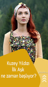 magazin panosundaki pin
